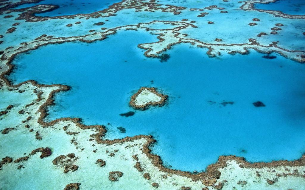 Great Barrier Reef Australien, Aufnahme aus der Luft