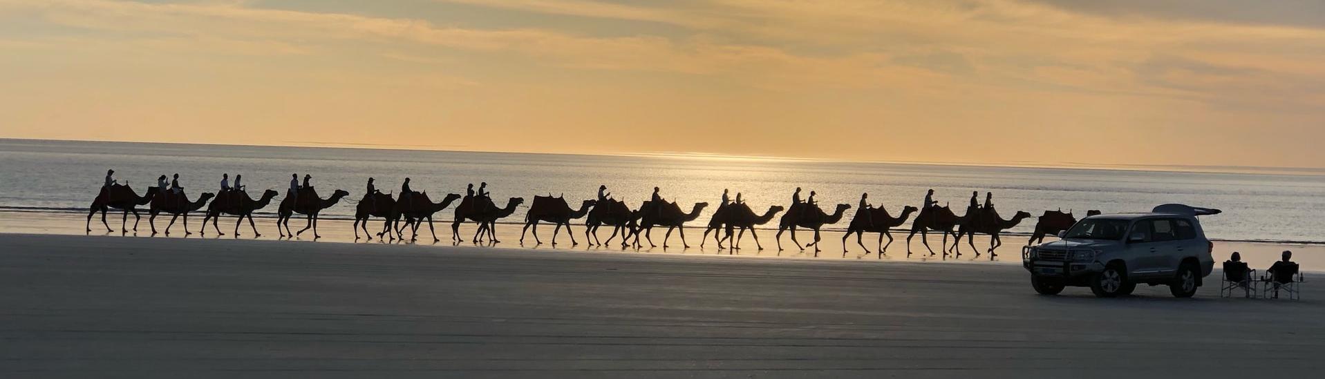 Broome Australien, Kamel-Karawane am Strand