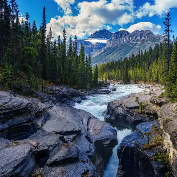 Bach in den kanadischen Wäldern
