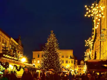 Rosenheim Deutschland, Christmas Market, Christmas Tree, Star