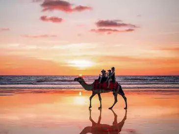 Broome Australien, Kamelreiten Am Strand